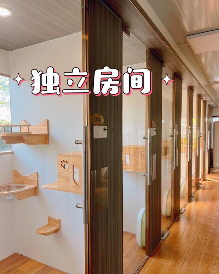 佛山宠物